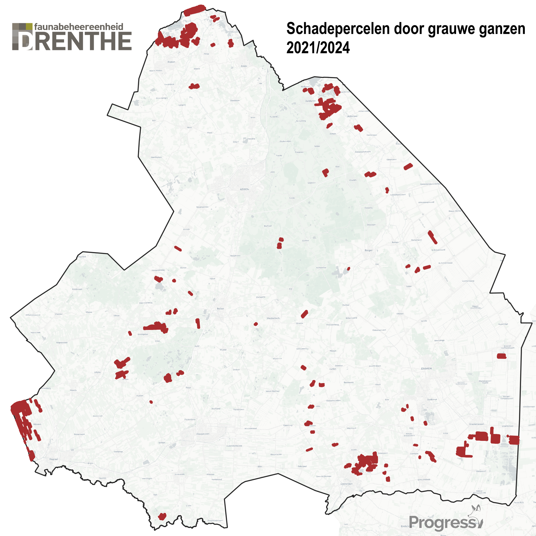 Ganzen schadepercelen grauwe gans